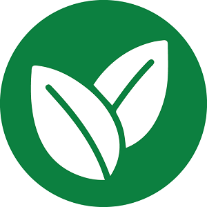 Green Product Icon